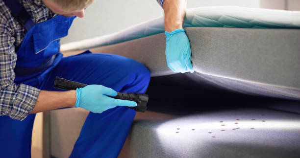 Best Termite Control Services  in Woodland Heights, PA