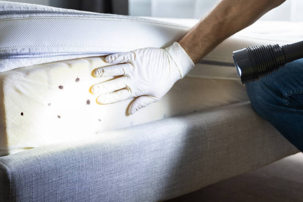 Flea Control Services in Woodland Heights, PA