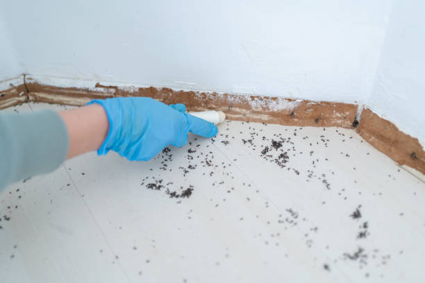 Best Residential Pest Control  in Woodland Heights, PA